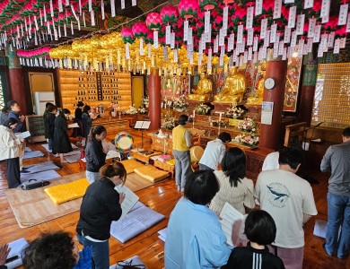 일요법회1.jpg