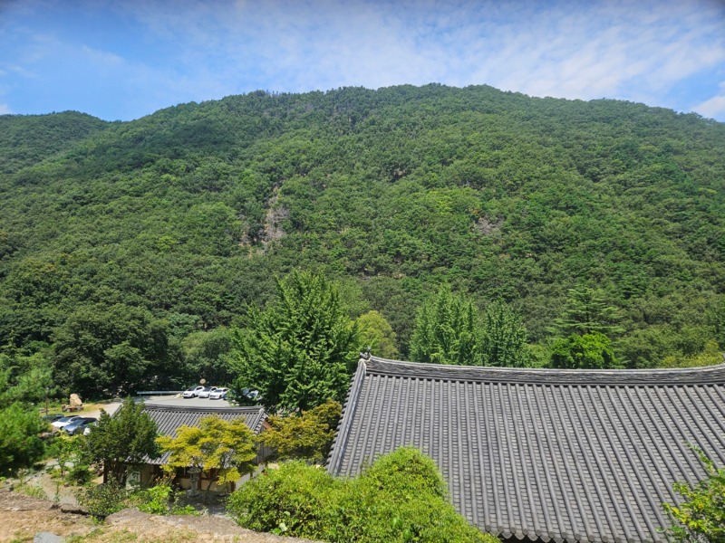 산신각에서 본 앞산.jpg