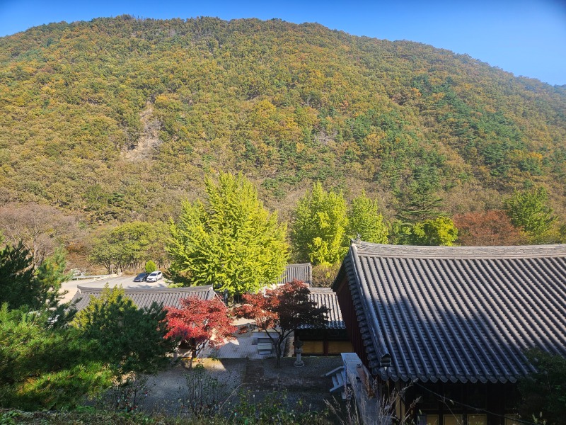 산신각에서 본 풍경.jpg