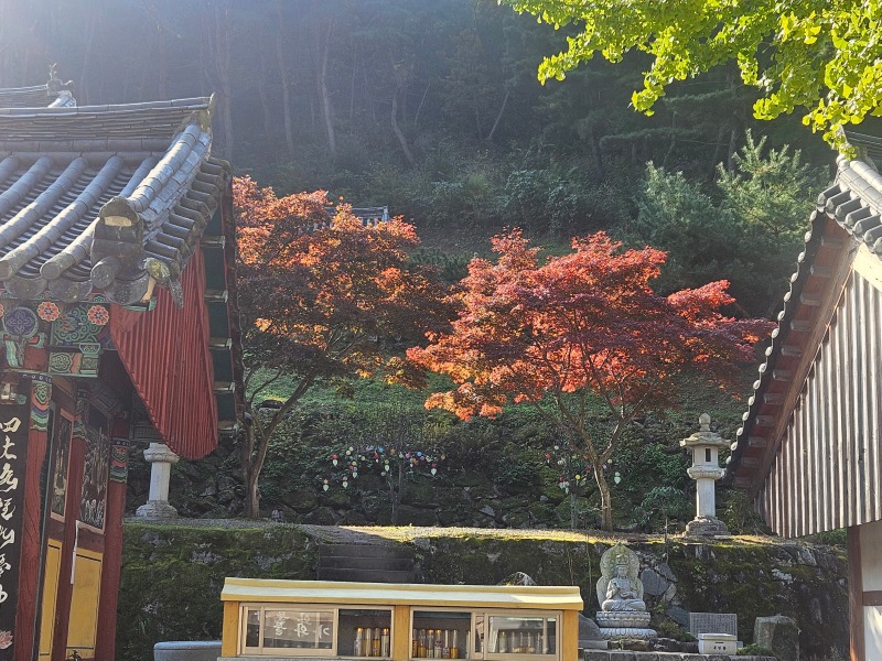 종무소와 명부전 사이.jpg