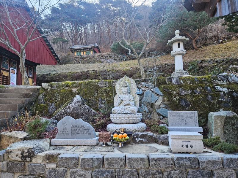 보경수보살님팥죽.jpg