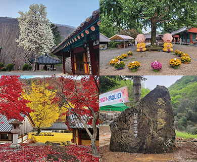경흥사 사계